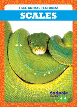 Paperback Scales Book
