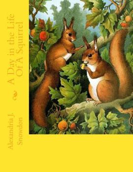 Paperback A Day in the Life Of A Squirrel Book