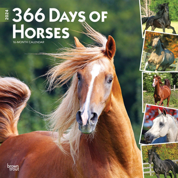 Calendar Horses, 365 Days Of, 2024 Square Book