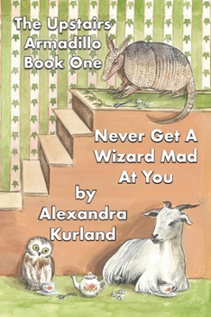 Paperback Never Get A Wizard Mad At You Book