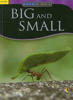 Paperback Big and Small Book