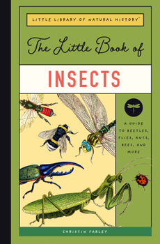 Hardcover The Little Book of Insects: A Guide to Beetles, Flies, Ants, Bees, and More Book