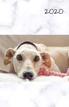 Paperback 2020: 5.5 by 8.5 inch Week Per Page Diary January to December 2020 with American Date Format Book