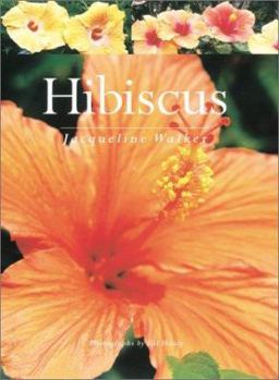 Hardcover Hibiscus Book