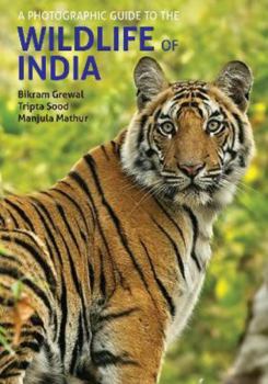 Paperback A Photographic Guide to the Wildlife of India Book