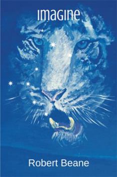 Hardcover Imagine Book