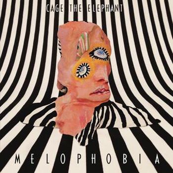 Vinyl Melophobia Book