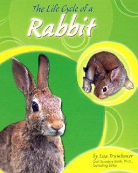 The Life Cycle of a Rabbit - Book  of the Life Cycles