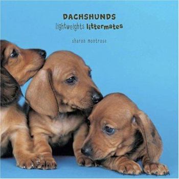 Hardcover Dachshunds: Lightweights Littermates Book