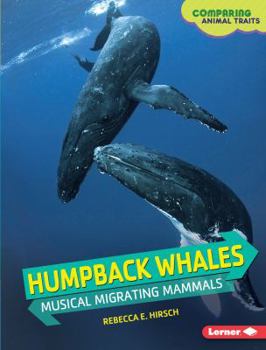 Library Binding Humpback Whales: Musical Migrating Mammals Book
