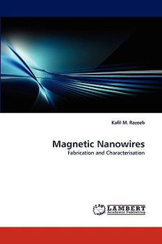Paperback Magnetic Nanowires Book