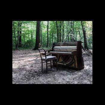 Vinyl Acoustic Ii Book