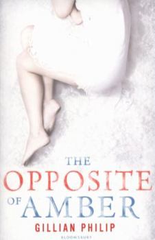Paperback The Opposite of Amber Book