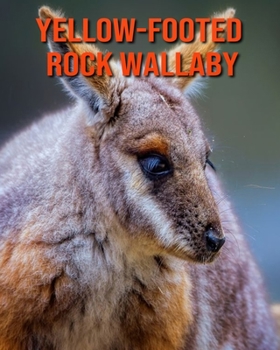 Paperback Yellow-Footed Rock Wallaby: Fun Learning Facts About Yellow-Footed Rock Wallaby Book