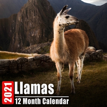 Calendar 2021 Llamas: Cute Llama Photos Monthly Mini Calendar With Inspirational Quotes each Month