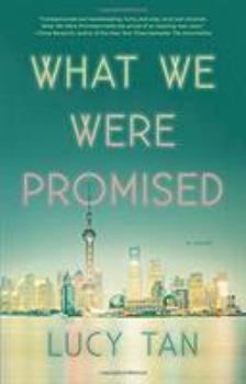 Hardcover What We Were Promised Book