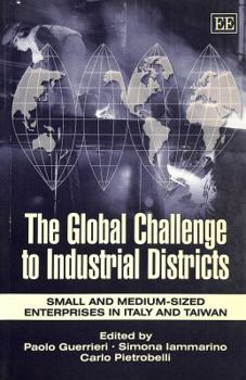 Paperback The Global Challenge to Industrial Districts: Small and Medium-sized Enterprises in Italy and Taiwan Book