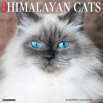 Calendar Just Himalayan Cats 2023 Wall Calendar Book