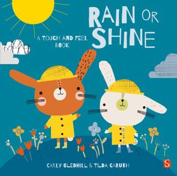 Board book Rain or Shine (Touch & Feel) Book