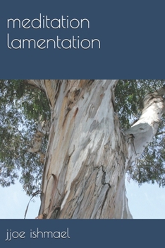 Paperback meditation lamentation Book