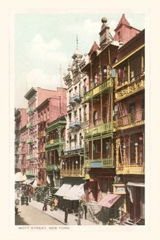 Paperback Vintage Journal Mott Street, New York City Book