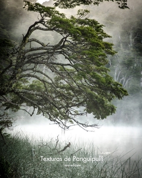 Paperback Texturas de Panguipulli: 1era edicion [Spanish] Book
