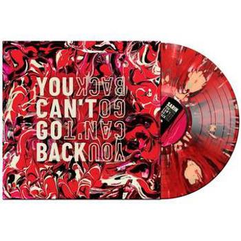 Vinyl You Can't Go Back Book