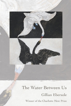Paperback The Water Between Us Book