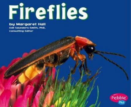 Hardcover Fireflies Book