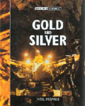 Hardcover Gold & Silver Book