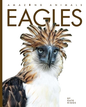 Eagles - Book  of the Amazing Animals