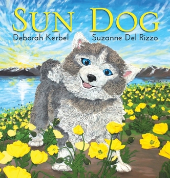 Hardcover Sun Dog Book
