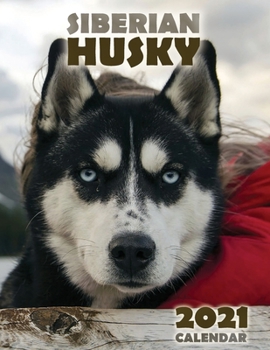 Paperback The Siberian Husky 2021 Calendar Book