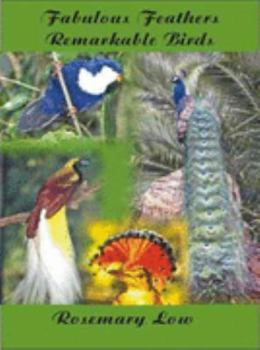 Paperback Fabulous Feathers, Remarkable Birds Book
