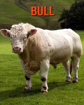 Paperback Bull: Learn About Bull and Enjoy Colorful Pictures Book