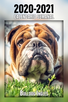2020-2021 Calendario Semanal Bulldog Inglés: 221 Páginas | Tamaño A5 | 24 Meses | 1 Semana en 2 Páginas | Planificador | Agenda Semana Vista | Canófilo | Perro | En Español (Spanish Edition)