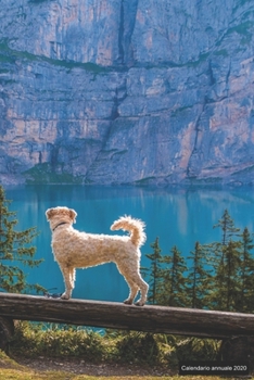 Paperback Calendario annuale 2020: &#9830; Manuale dell'organizzatore pratico per il 2020 &#9830; Anteprima di 12 mesi &#9830; 52 pianificatore settimana [Italian] Book