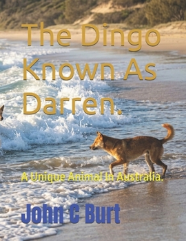 Paperback The Dingo Known As Darren.: A Unique Animal In Australia. Book