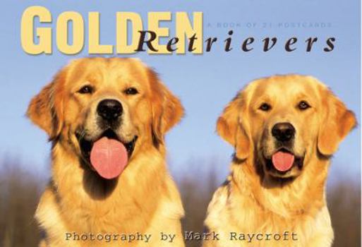 Card Book Golden Retrievers Book