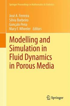 Hardcover Modelling and Simulation in Fluid Dynamics in Porous Media Book