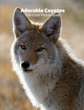 Adorable Coyotes Full-Color Picture Book: Animals Photography Book