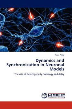 Paperback Dynamics and Synchronization in Neuronal Models Book