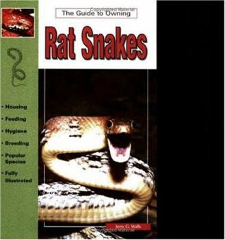 Paperback Rat Snakes Book
