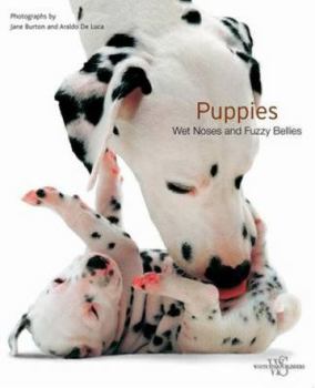 Hardcover Puppies: Wet Noses and Fuzzy Bellies Book