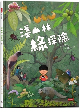 Light Mountain Forest Adventure