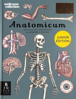 Hardcover Anatomicum Junior (Welcome To The Museum) Book