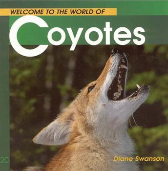 Paperback Welcome to the World of Coyotes Book