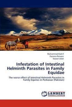 Paperback Infestation of Intestinal Helminth Parasites in Family Equidae Book