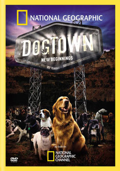 DVD National Geographic: Dogstown, New Beginnings Book