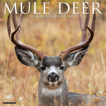 Calendar Mule Deer 2026 Wall Calendar Book
